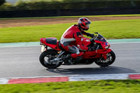 Middle Group Red Bikes